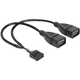 Delock USB 2.0 Ykabel [1x USB 2.0 vtič interno. - 2 x USB 2.0 vtič] 0,20 m črn Delock