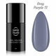 NANI trajni lak Amazing Line 5 ml – Grey Purple