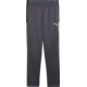 Puma Hlače IndividualLIGA Training Pants Kids