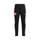 ADIDAS PERFORMANCE Športne hlače Fortuna Düsseldorf rdeča/črna/bela