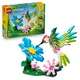 Lego® Creator 31384 Divje živali: Pisani kolibri