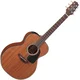 Takamine GX11ME-NS