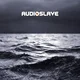 Audioslave - Out Of Exile (2 LP)