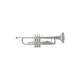 Trobenta Roy Benson Bb TR-202S RB701.072
