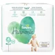 PAMPERS Pelene Harmonie S4 MAXI VP (28)