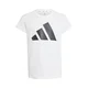 ADIDAS SPORTSWEAR Funkcionalna majica BL 160 črna / bela