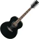 Ibanez AJ7012M1E-BK Black 12 strunska elektroakustična kitara