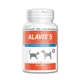 ALAVIS 5 za sklepe psov in mačk - 90 tablet