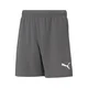 Puma Hlače siva 192 - 197 cm/XXL Teamrise