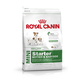 ROYAL CANIN Mini Starter Mother