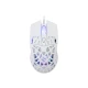 WHITE SHARK WS GM 5018 CARADOC RGB Miš