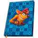 Crash Bandicoot - Notebook