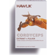Cordyceps ekstrakt + Cordyceps v prahu - organske kapsule - 120 kaps.