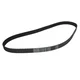 Contitech Zobati jermen CONTITECH CT 919