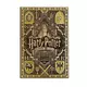 Harry Potter yellow hufflepuff karte, 0420-02