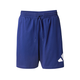 ADIDAS SPORTSWEAR Športne hlače temno modra/bela