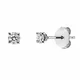 Looi & Co Earrings White Gold (18k) 2U248W8-1