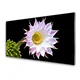tulup.si Steklena slika Flower na wall 140x70 cm 4 obešalnika