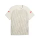 PUMA individualLIGA Graphic Football Jersey Men, Sport, Sedate Gray/Ultra Red/Sugared Almond, XL