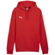 Puma Mikica s kapuco teamGOAL Casuals Hoody