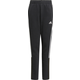 Hlače adidas TIRO21 SW PNT Y