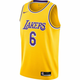 NIKE LAKERS ICON EDITION 2020 LEBRON JAMES