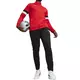 Puma 65865301 pisana
