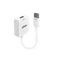 Lindy HDMI v DisplayPort pretvornik 4K 3840x2160, 38146