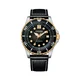 Ure Citizen NJ0176-10E