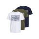 JACK & JONES Majica HARRISON, modra, zelena, bela