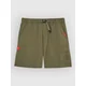 Quiksilver Bm Cyclone Cargo kopalne hlače grape leaf