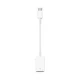 Apple Adapter, Usb-c, Beli