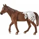 Mojo Appaloosa rjavi žrebec