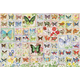 Cobble Hill - Puzzle Butterflies and Blossoms 2000 - 2 000 kosov