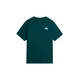THE NORTH FACE Majica EVOLUTION BOX NSE turkizna / bela