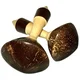 Terre Maracas Coconut Pair 15cm