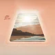 Various Artists - Bliss Out For Days (2 LP)