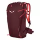 RANAC SALEWA MTN TRAINER 2 22L
