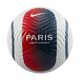 Nike PSG ACADEMY, nogometna lopta, bijela FB2976