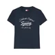 Tommy Hilfiger  dw0dw21404  pisana