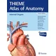 Internal Organs (THIEME Atlas of Anatomy)