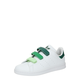 ADIDAS ORIGINALS Tenisice STAN SMITH, zelena / svijetlozelena / tamno zelena / bijela