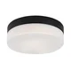 Rabalux Plafonjera Gaelo, LED 15W, D23.5cm