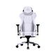 COOLER MASTER Caliber X2C CMI-GCX2C-GW