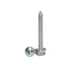 Vijak 3,9x38 cilinder glava DIN7981 INOX