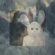 Sleep Party People - Sleep Party People (Reissue) (Pale Gold Translucent Coloured) (LP)