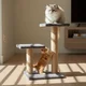 Paws & Whiskers Grebalica za mačke Luzi, Antracit