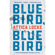 Bluebird, Bluebird