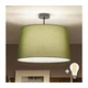 Brilagi - LED plafonski luster CERIA 1xE27/60W/230V prečnik 45 cm crna/zelena