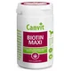 Canvit Biotin Maxi – za zdravo in sijočo dlako, 500g